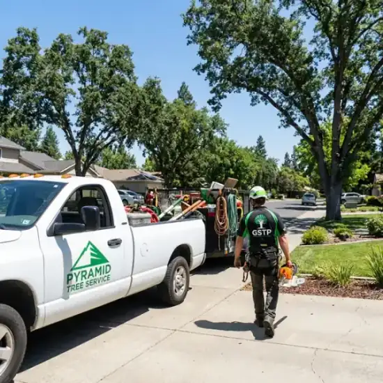 American Tree Solutions truck arriving at a Jacksonville residential job
