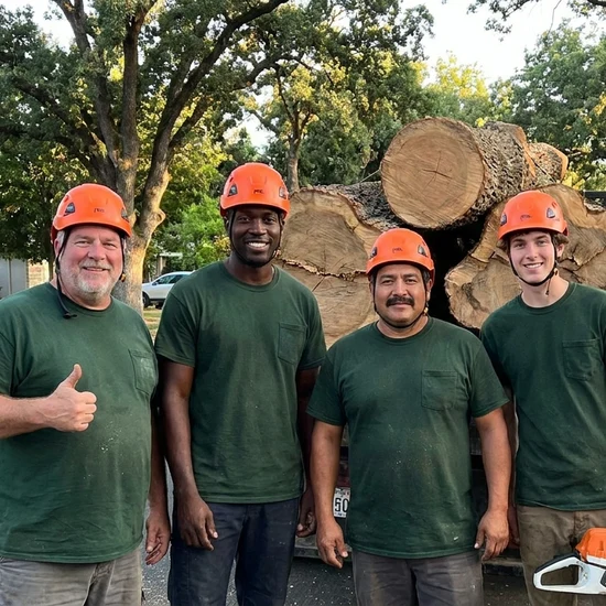 American Tree Solutions tree crew with a truck loaded with oak logs in Jacksonville